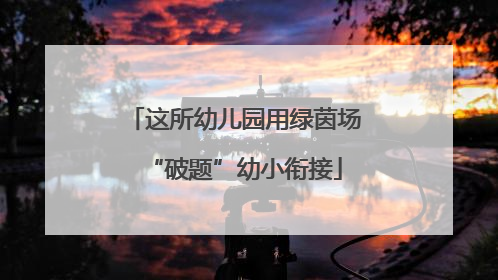 这所幼儿园用绿茵场“破题”幼小衔接