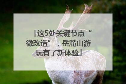 这5处关键节点“微改造”，岳麓山游玩有了新体验