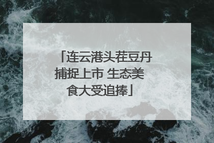 连云港头茬豆丹捕捉上市 生态美食大受追捧