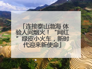 连接泰山渤海 体验人间烟火！“网红”绿皮小火车，新时代迎来新使命