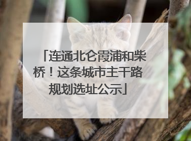 连通北仑霞浦和柴桥！这条城市主干路规划选址公示