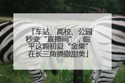 车站、高校、公园秒变“直播间”，临平这颗初夏“金果”在长三角播撒甜美
