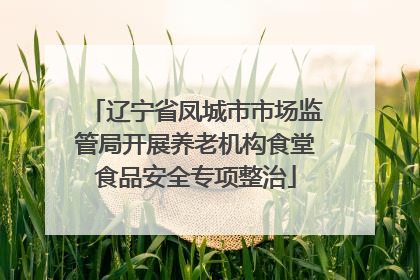 辽宁省凤城市市场监管局开展养老机构食堂食品安全专项整治