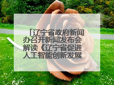 辽宁省政府新闻办召开新闻发布会解读《辽宁省促进人工智能创新发展实施方案》