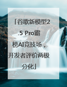 谷歌新模型2.5 Pro霸榜AI竞技场，开发者评价两极分化