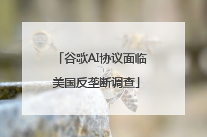 谷歌AI协议面临美国反垄断调查