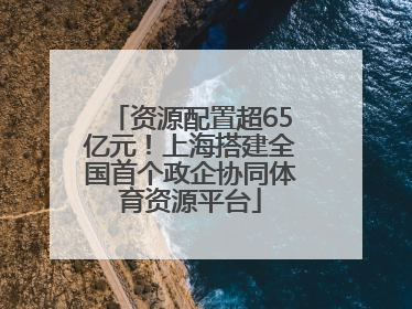 资源配置超65亿元！上海搭建全国首个政企协同体育资源平台