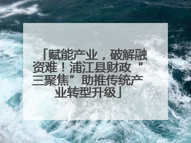 赋能产业，破解融资难！浦江县财政“三聚焦”助推传统产业转型升级