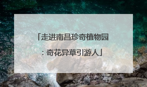 走进南昌珍奇植物园：奇花异草引游人
