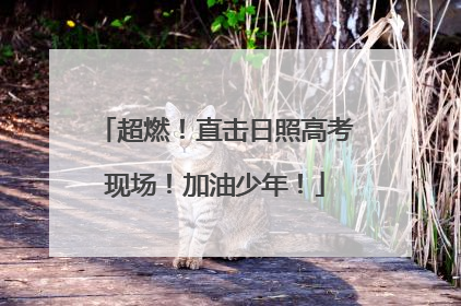 超燃！直击日照高考现场！加油少年！