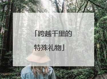 跨越千里的特殊礼物