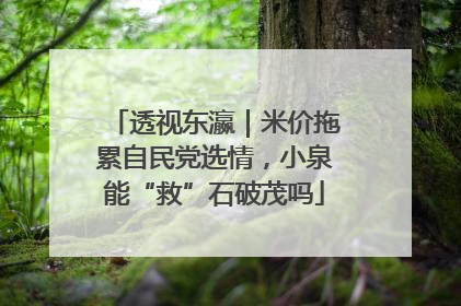 透视东瀛｜米价拖累自民党选情，小泉能“救”石破茂吗