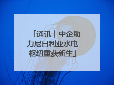 通讯｜中企助力尼日利亚水电枢纽重获新生
