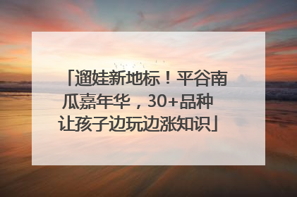 遛娃新地标！平谷南瓜嘉年华，30+品种让孩子边玩边涨知识