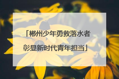 郴州少年勇救落水者 彰显新时代青年担当