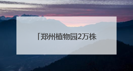 郑州植物园2万株向日葵热烈绽放
