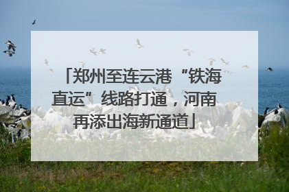 郑州至连云港“铁海直运”线路打通，河南再添出海新通道