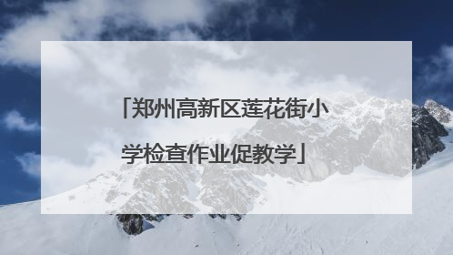 郑州高新区莲花街小学检查作业促教学