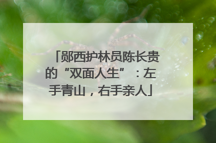 郧西护林员陈长贵的“双面人生”：左手青山，右手亲人