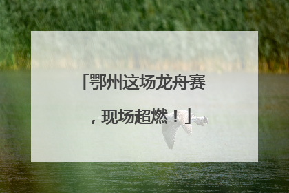 鄂州这场龙舟赛，现场超燃！