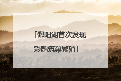 鄱阳湖首次发现彩鹮筑巢繁殖