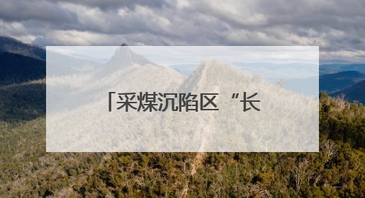 采煤沉陷区“长”出光伏矩阵