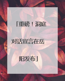 重磅！洞庭对话宣言在岳阳发布