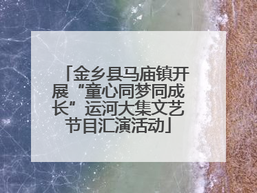 金乡县马庙镇开展“童心同梦同成长”运河大集文艺节目汇演活动