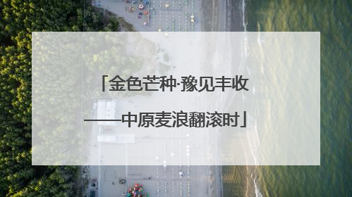 金色芒种·豫见丰收——中原麦浪翻滚时