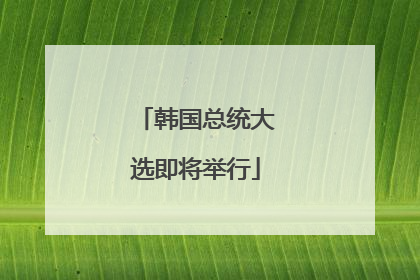 韩国总统大选即将举行
