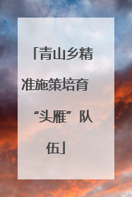 青山乡精准施策培育“头雁”队伍