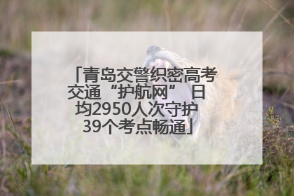 青岛交警织密高考交通“护航网” 日均2950人次守护39个考点畅通