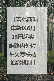 青岛西海岸新区6月13日起实施路内外停车欠费联动追缴机制