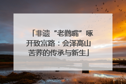 非遗“老鹳嘴”啄开致富路：会泽高山苦荞的传承与新生