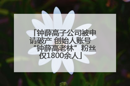 钟薛高子公司被申请破产 创始人账号“钟薛高老林”粉丝仅1800余人