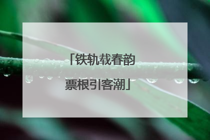 铁轨载春韵 票根引客潮
