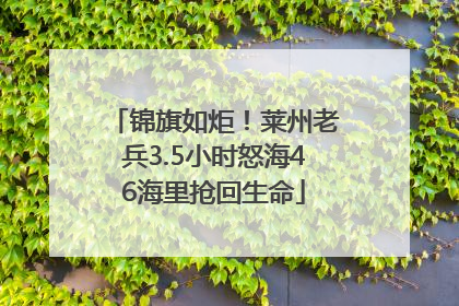 锦旗如炬！莱州老兵3.5小时怒海46海里抢回生命