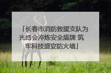 长春市消防救援支队为光博会淬炼安全盾牌 筑牢科技盛宴防火墙