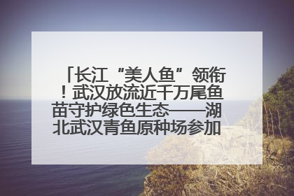 长江“美人鱼”领衔！武汉放流近千万尾鱼苗守护绿色生态——湖北武汉青鱼原种场参加2025年“全国放鱼日”增殖放流活动