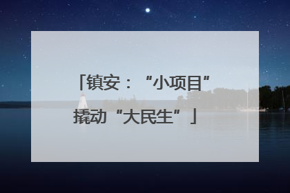 镇安：“小项目”撬动“大民生”