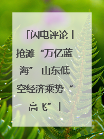 闪电评论丨抢滩“万亿蓝海” 山东低空经济乘势“高飞”