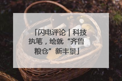 闪电评论｜科技执笔，绘就“齐鲁粮仓”新丰景