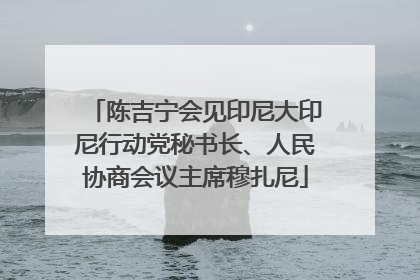 陈吉宁会见印尼大印尼行动党秘书长、人民协商会议主席穆扎尼