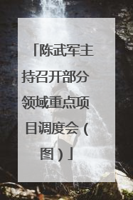 陈武军主持召开部分领域重点项目调度会（图）