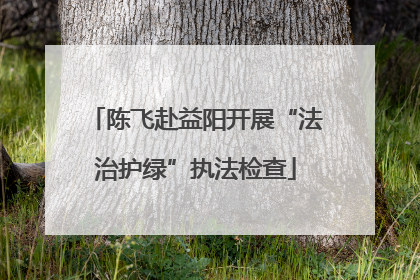 陈飞赴益阳开展“法治护绿”执法检查