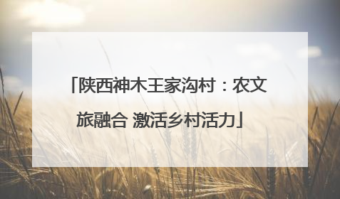 陕西神木王家沟村：农文旅融合 激活乡村活力