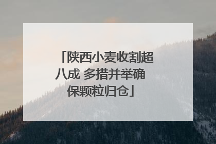 陕西小麦收割超八成 多措并举确保颗粒归仓