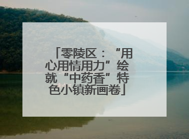零陵区：“用心用情用力”绘就“中药香”特色小镇新画卷