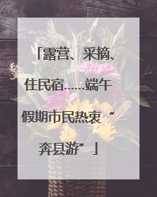 露营、采摘、住民宿……端午假期市民热衷“奔县游”