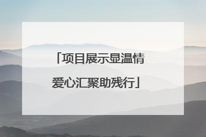 项目展示显温情 爱心汇聚助残行